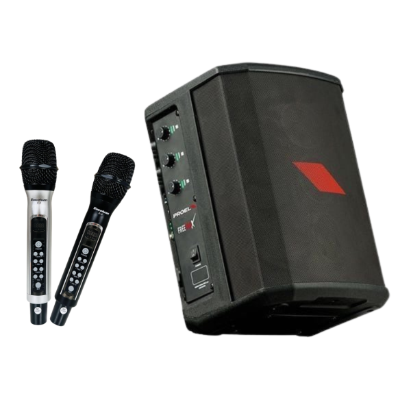 DÀN KARAOKE GIA ĐÌNH IT954